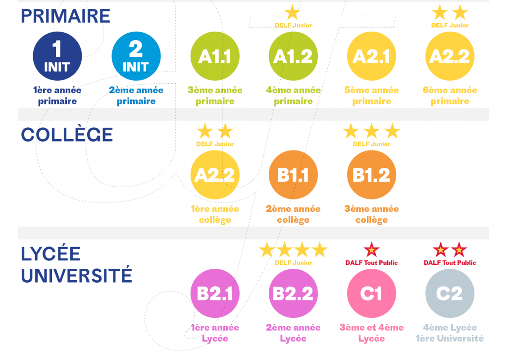 Niveaux du CECRL et équivalents locaux