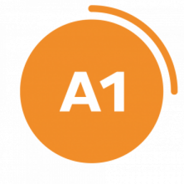 A1 A1
